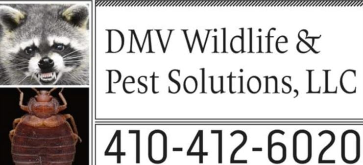 DMV Wildlife & Pest Solutions, LLC Logo