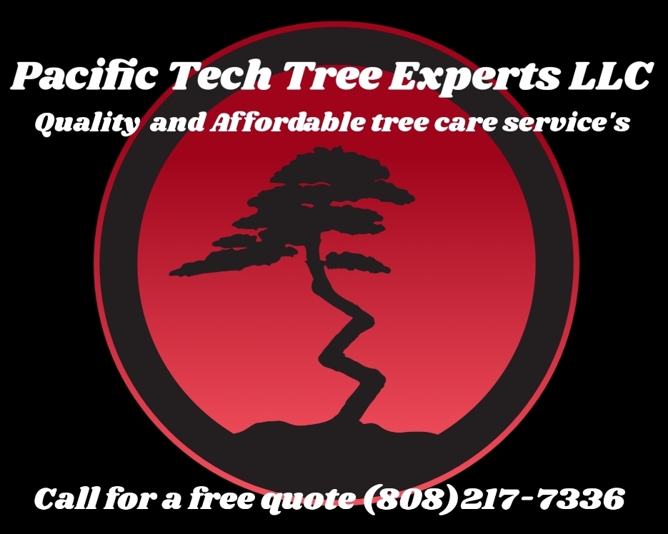 Pacific Tech Tree Experts, LLC Logo
