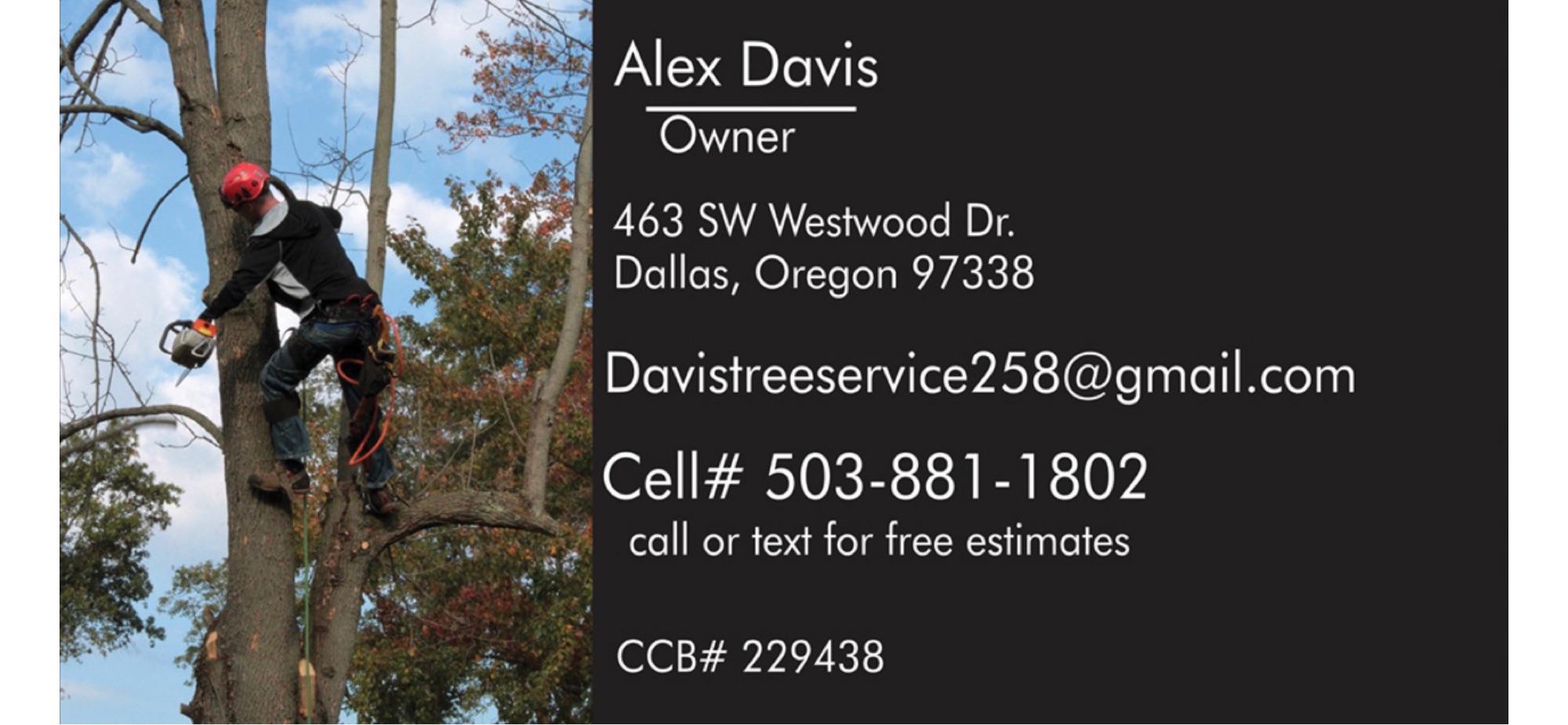 Davis Tree Service Logo