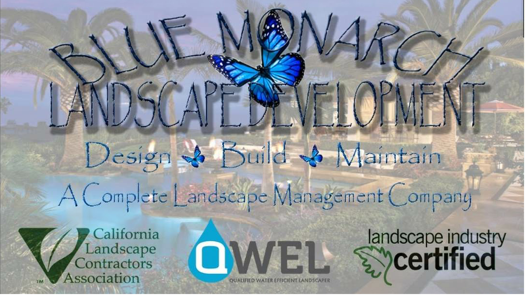 Blue Monarch Landscape Development Logo