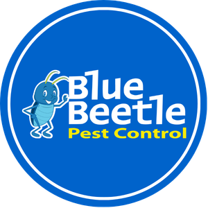 Blue Beetle Pest Management LLC Logo