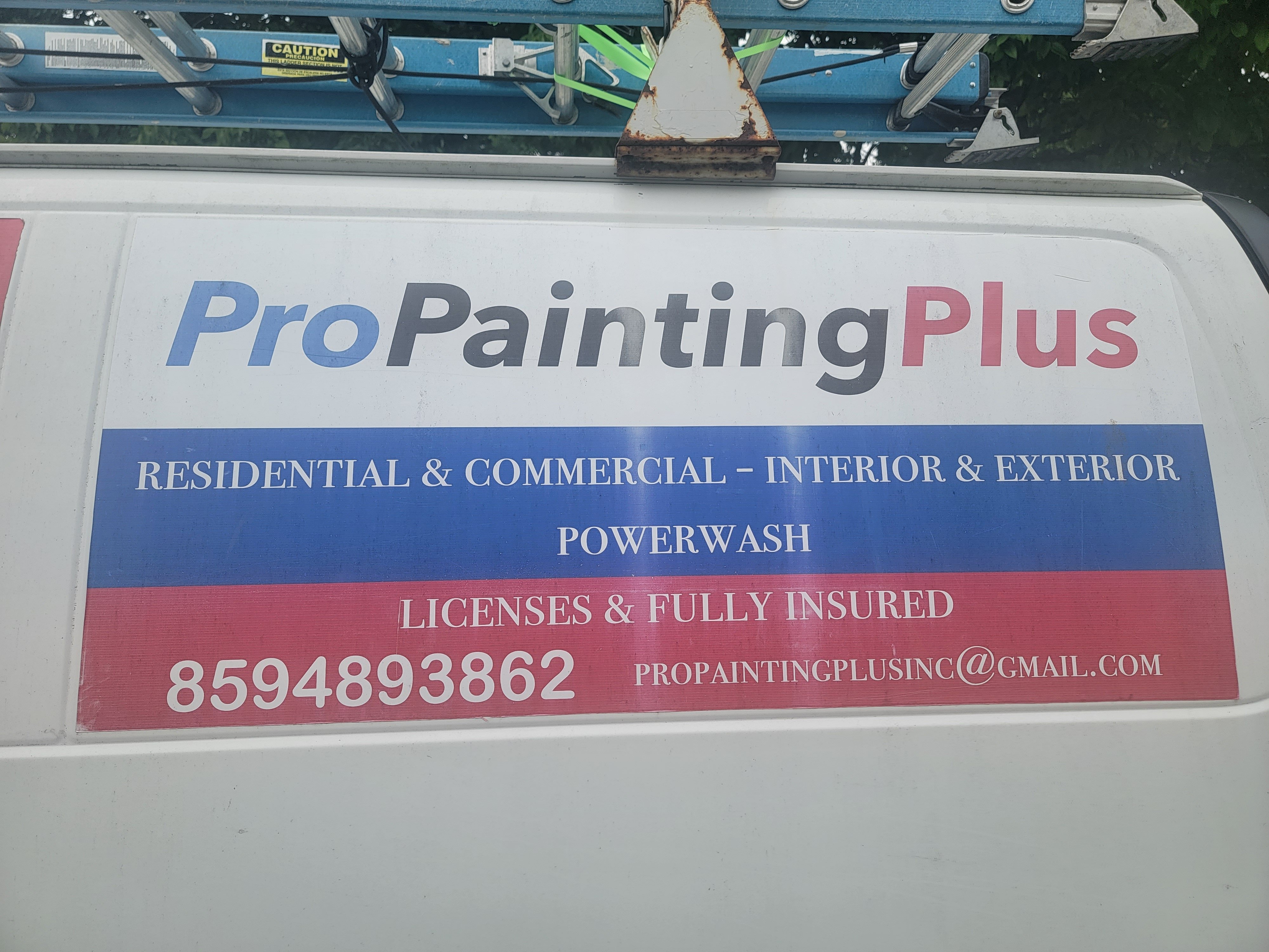 Pro Painting Plus, Inc. Logo