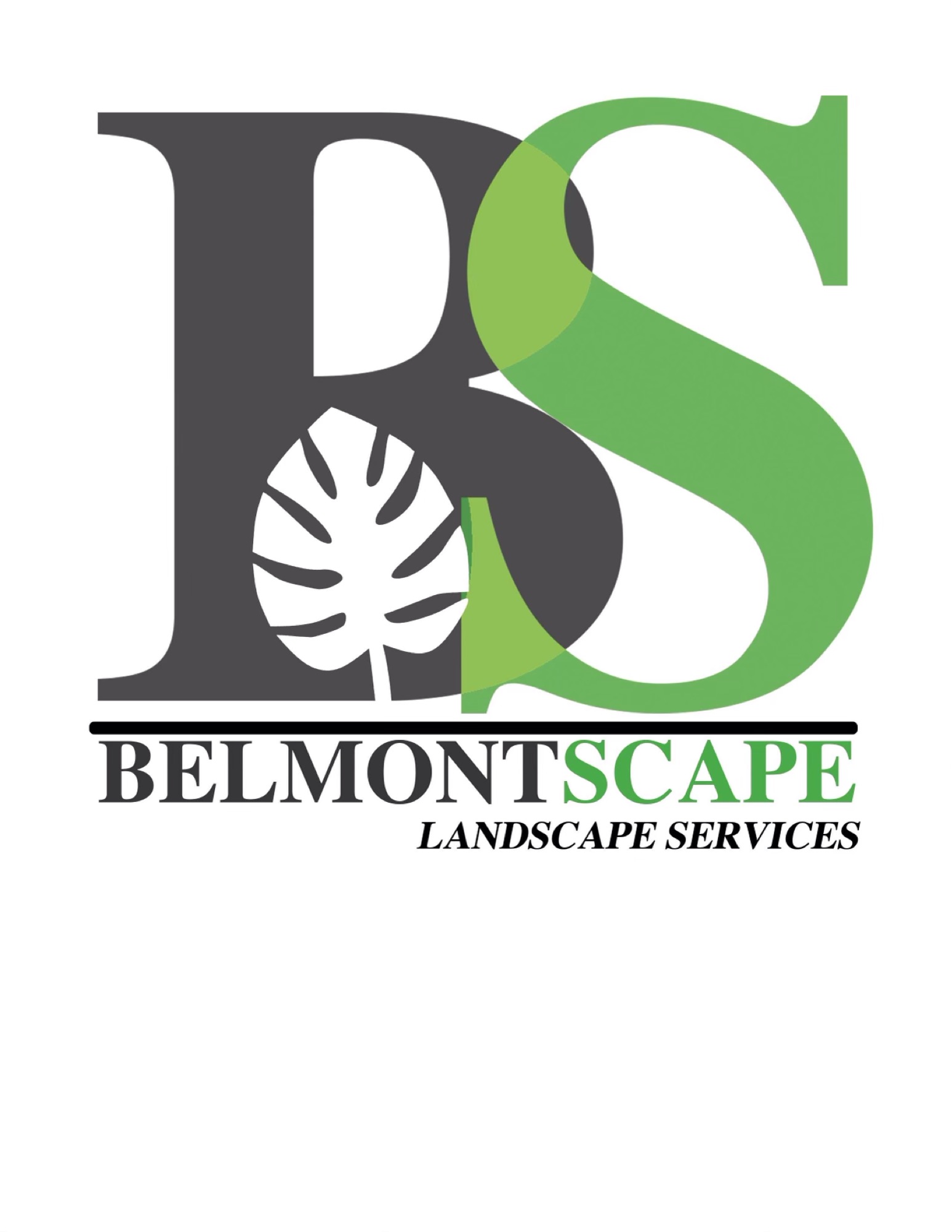 Belmontscape Landscape Services Corp. Logo
