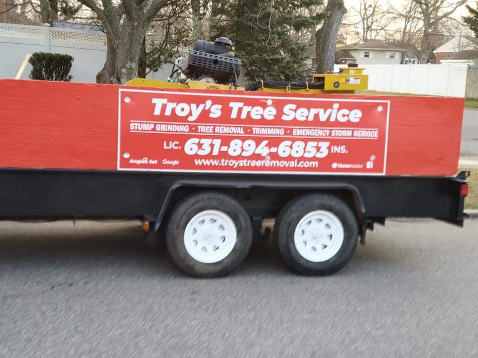 Troy's Tree Service Logo