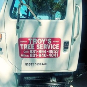 Troy's Tree Service Logo