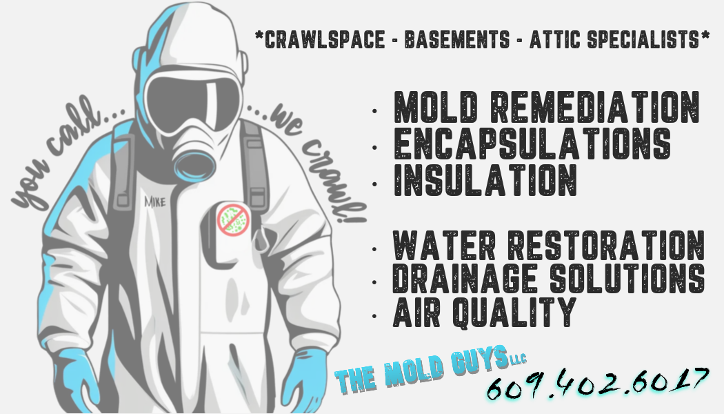 The Mold Guys LLC Logo