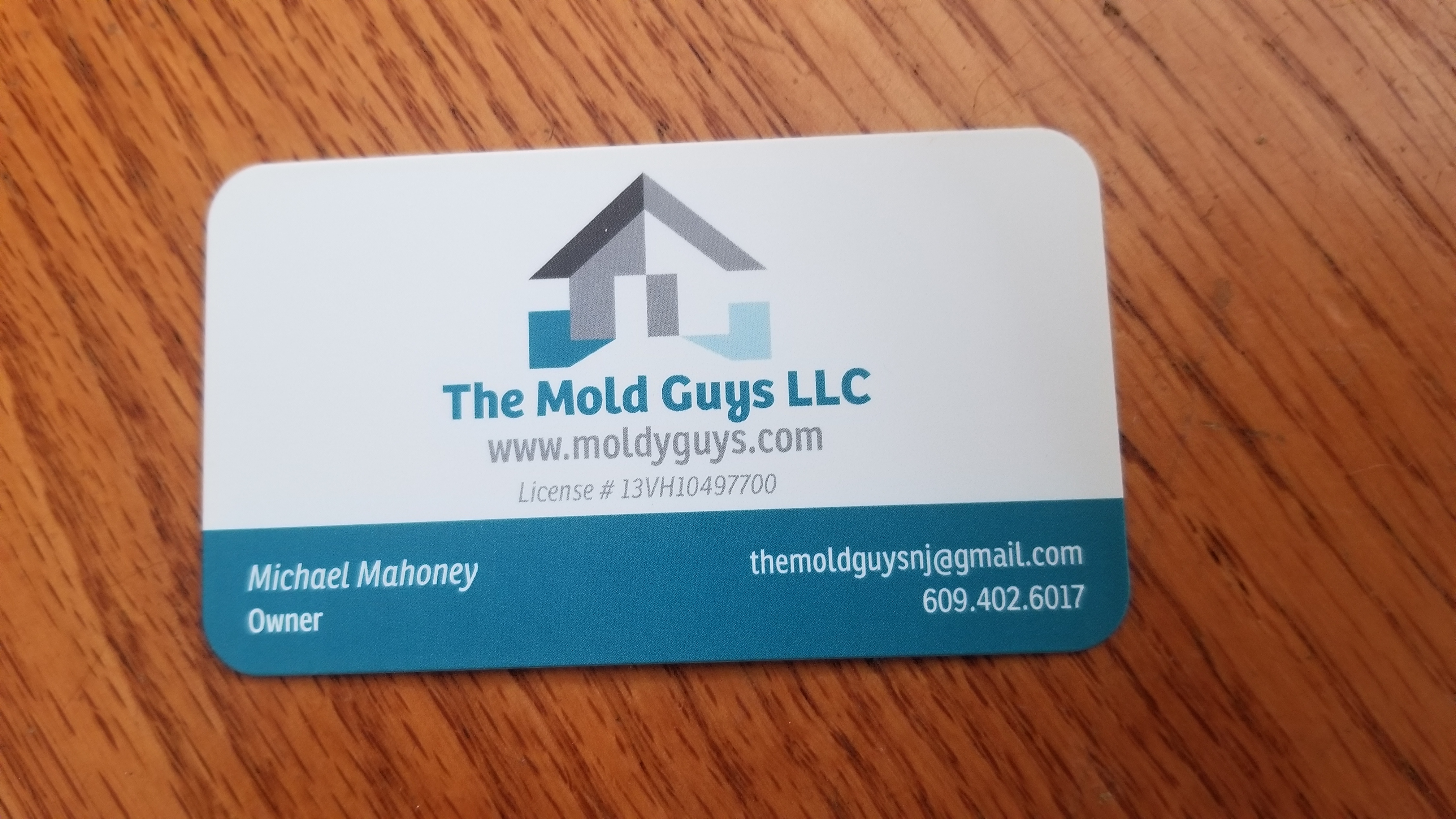 The Mold Guys LLC Logo
