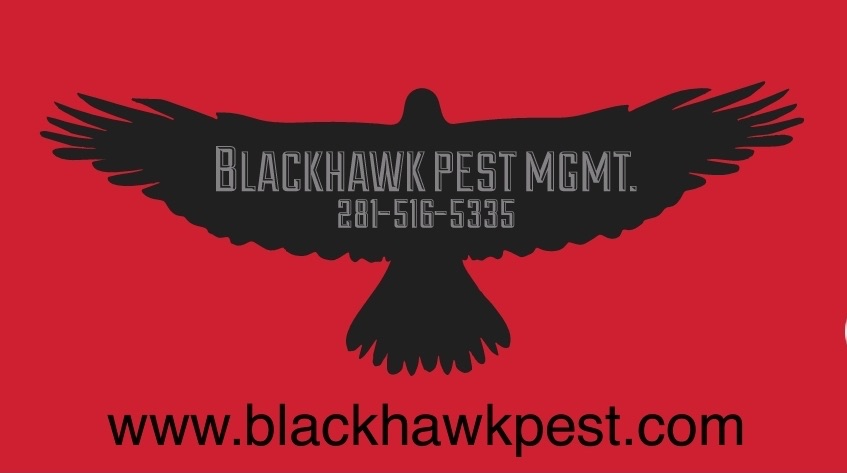 Blackhawk Pest Management Logo