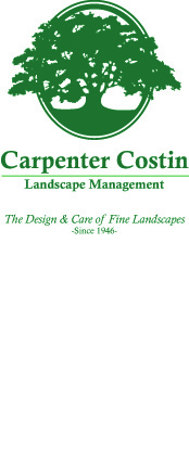 Carpenter Costin Tree Service Logo