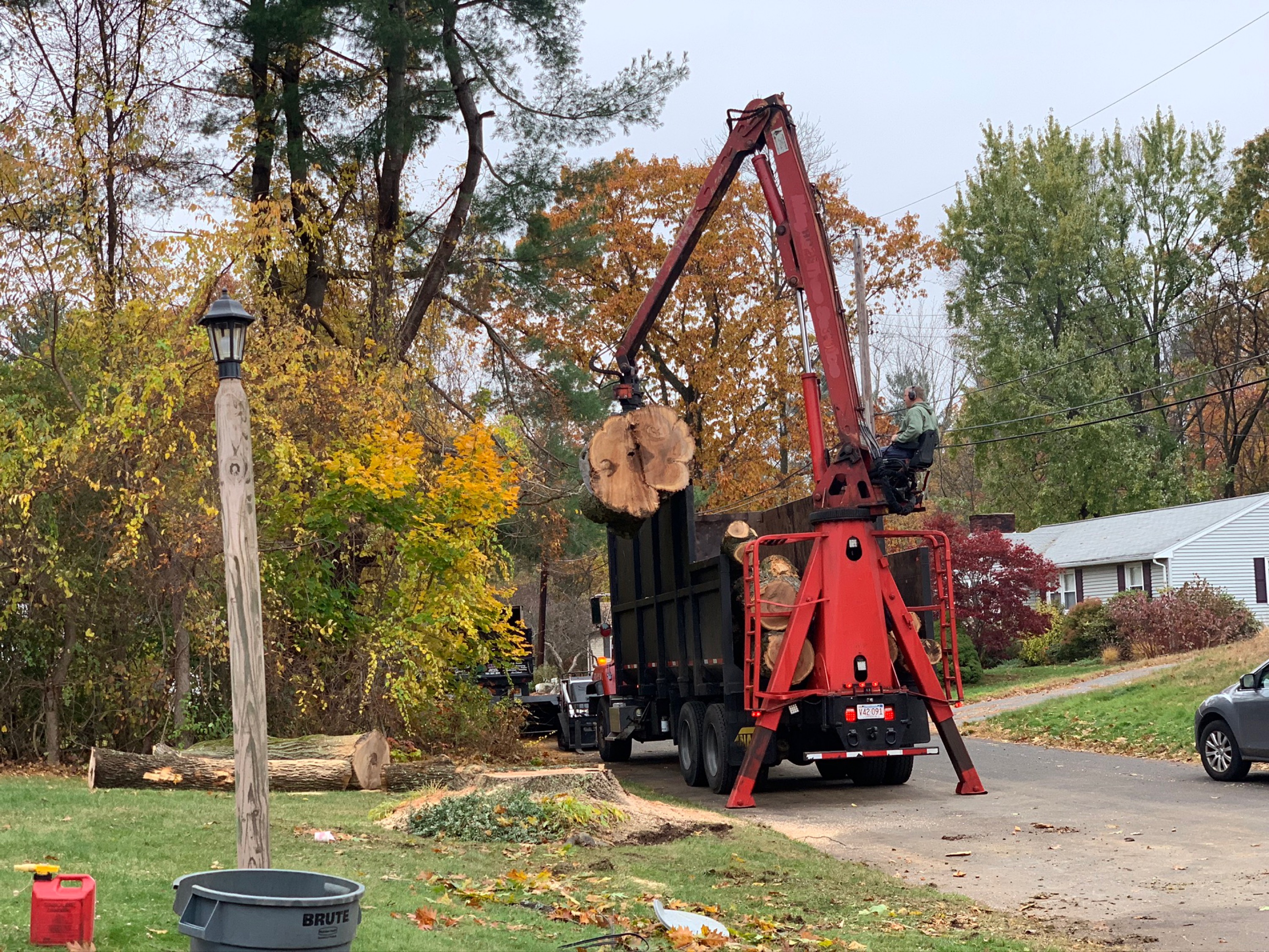 Roel Tree Services Logo