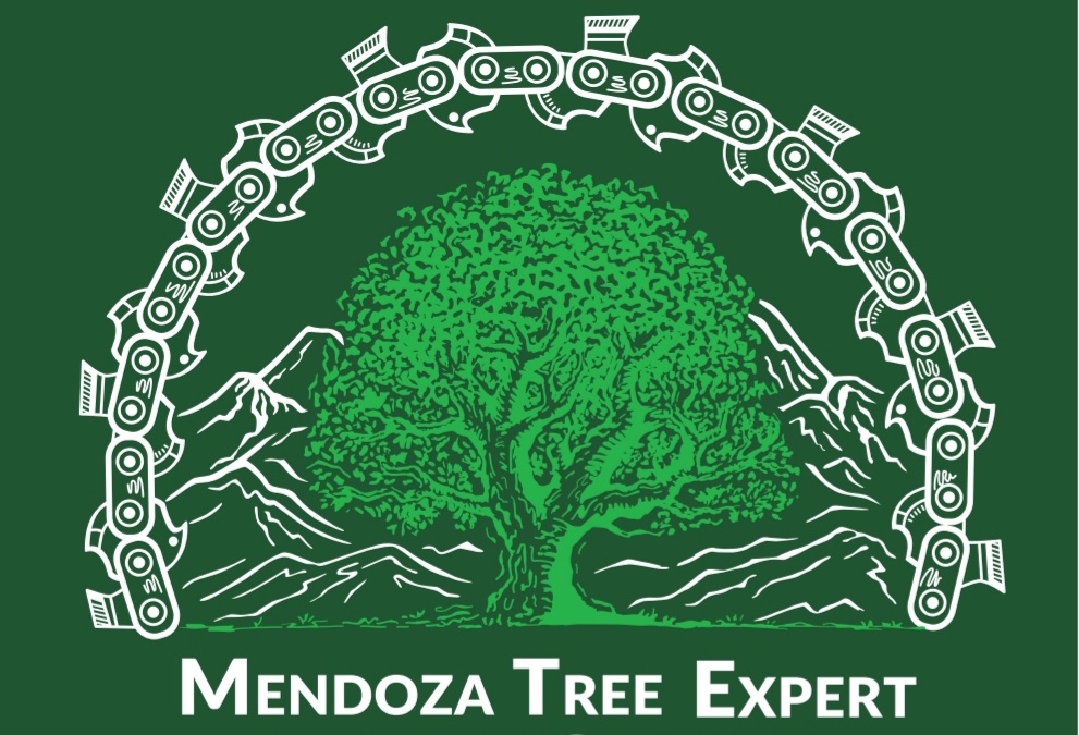Mendoza Tree Expert - Tree Care Services Logo