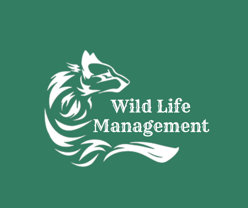 Wildlife Management Logo