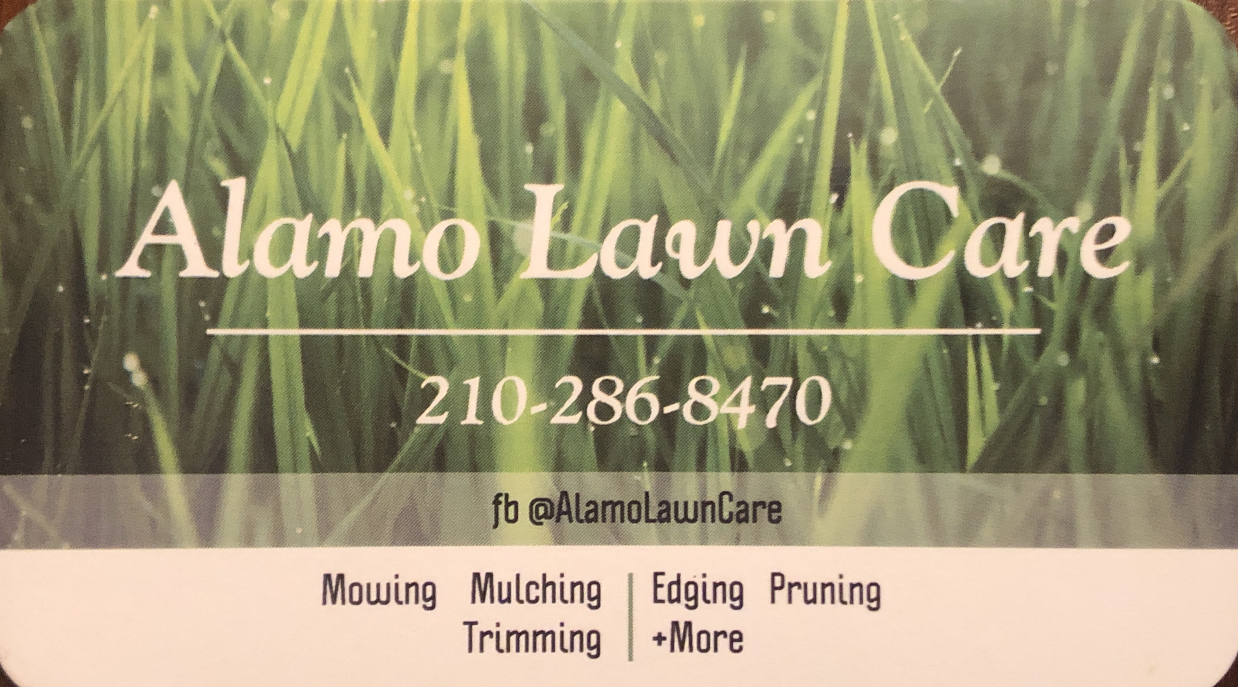 Alamo Lawn Care Logo