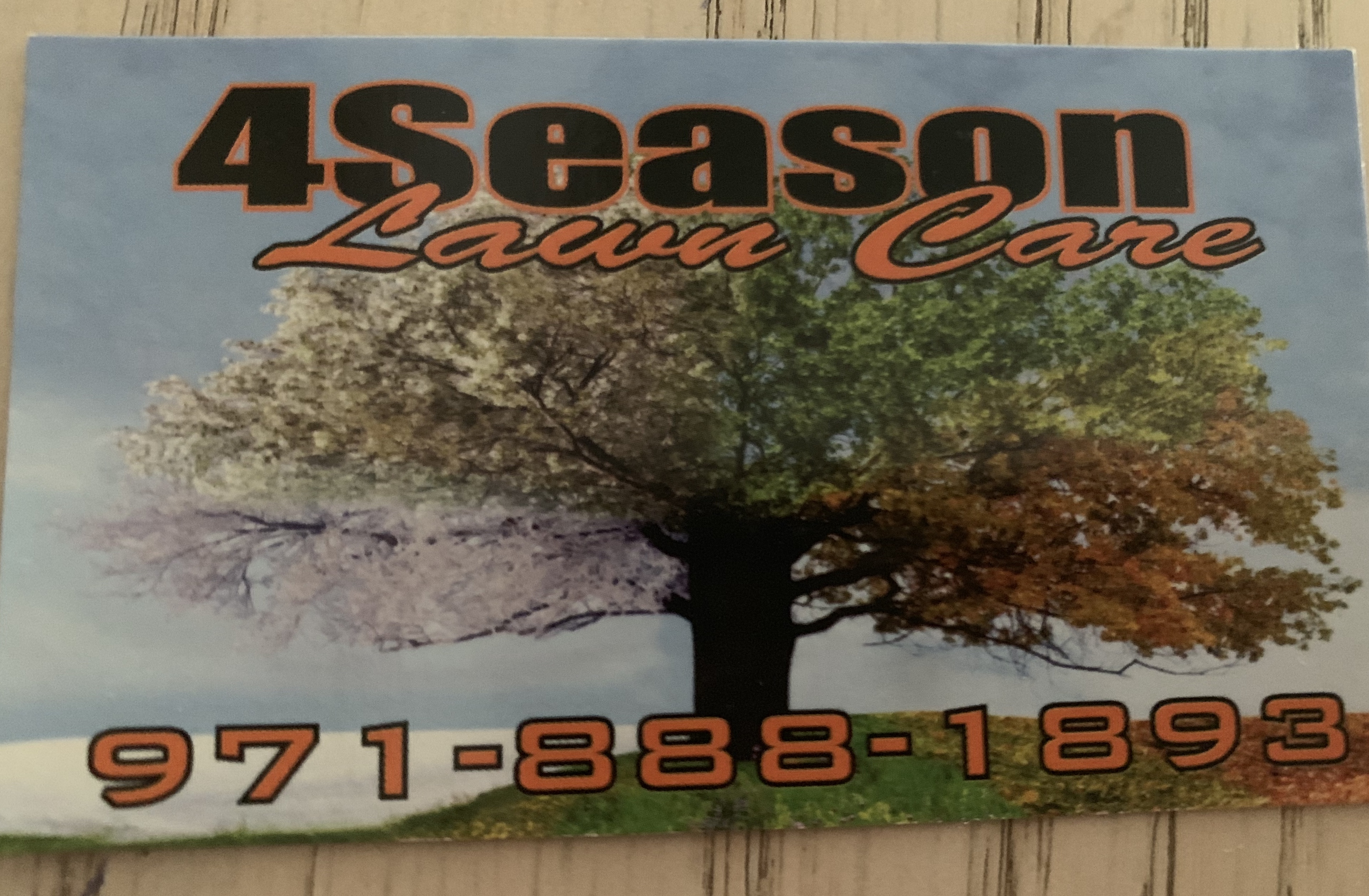 4Seasons Lawn Care Logo