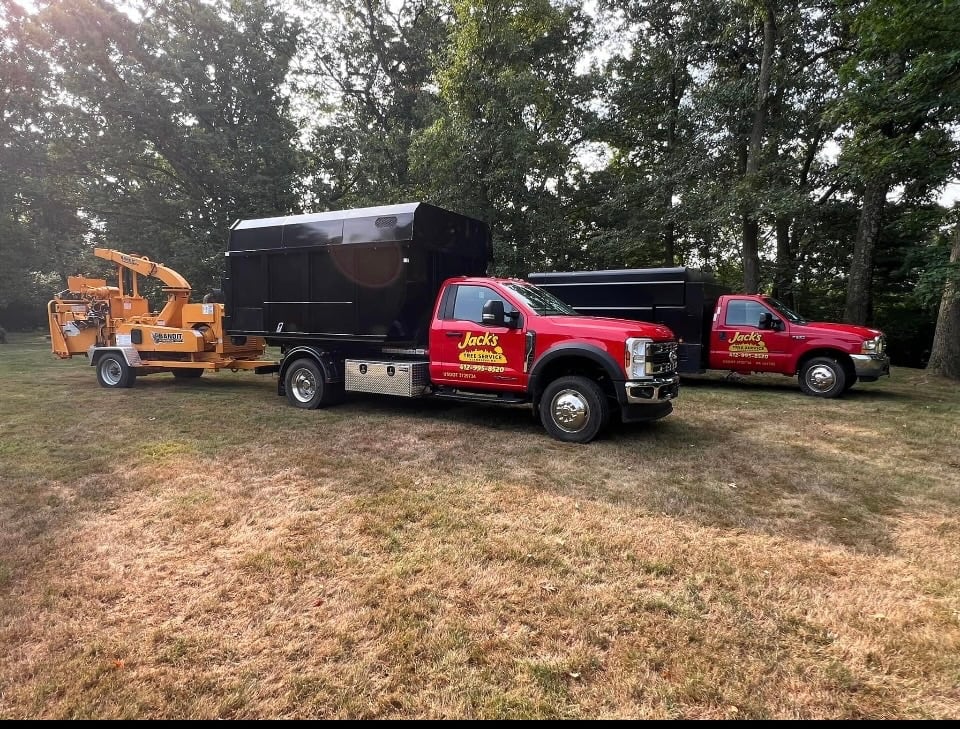 Jack's Tree Service and Landscaping Logo