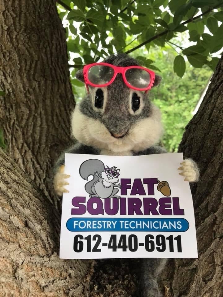Fat Squirrel Forestry Technicians, LLC Logo