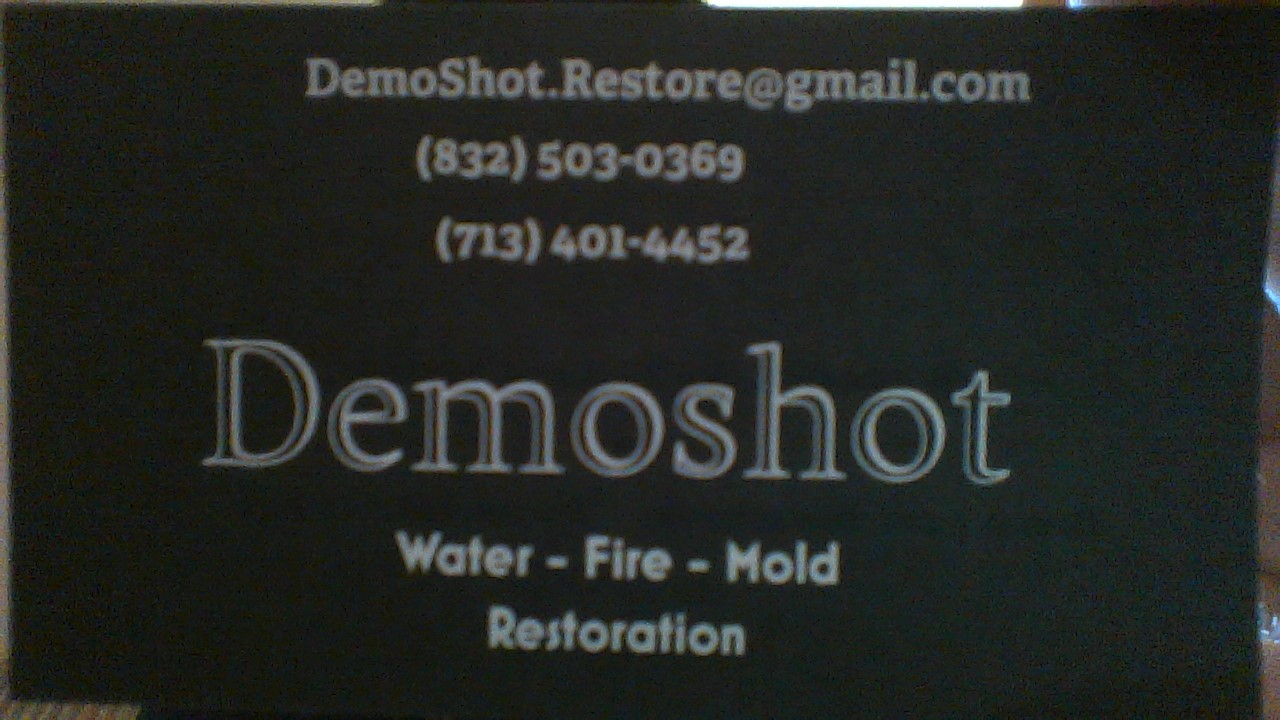 Demo Shot Logo