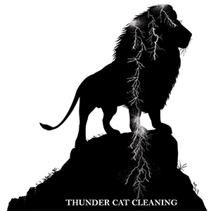 Thunder Cat Cleaning Logo