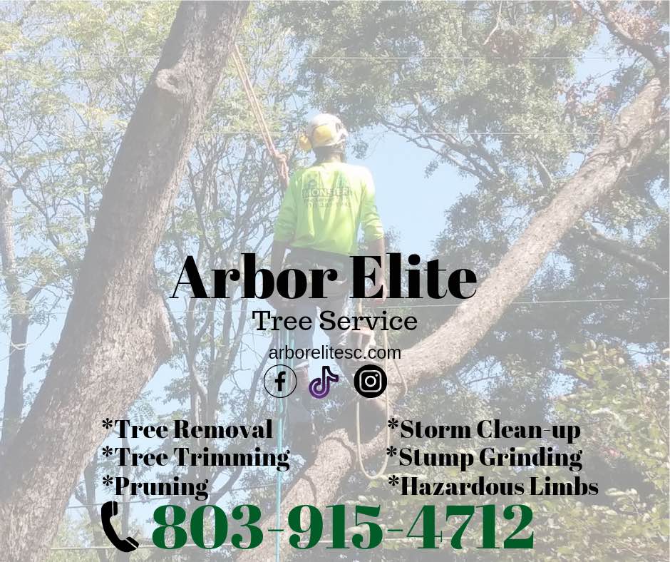 Arbor Elite Tree Service Logo