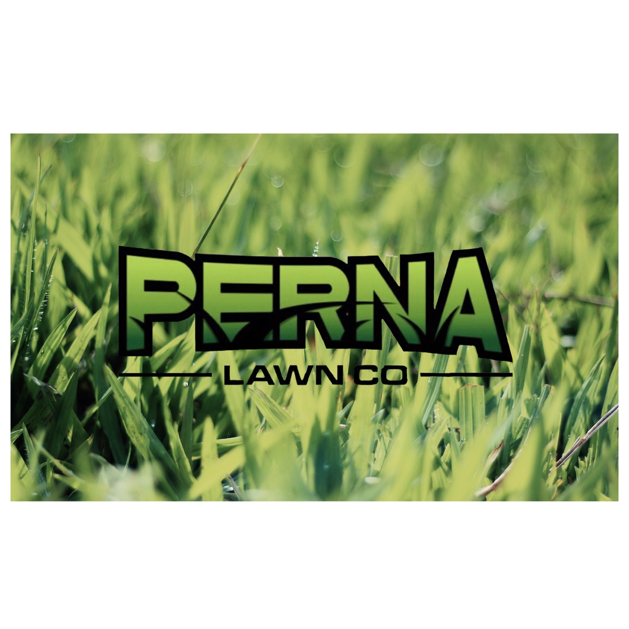 Perna Lawn Company llc Logo