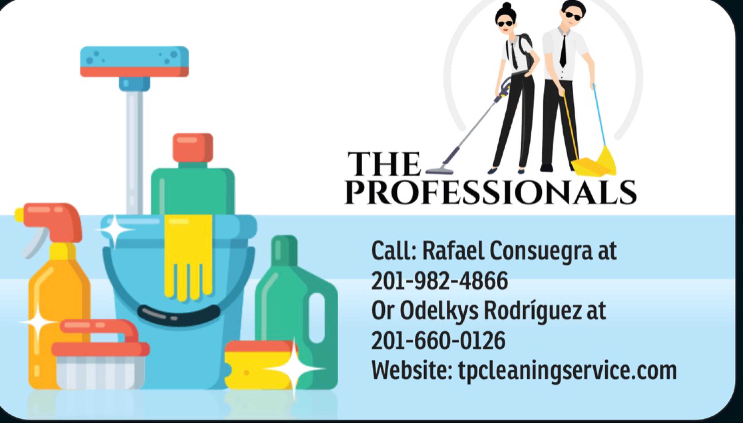 The Professionals Cleaning Service Logo