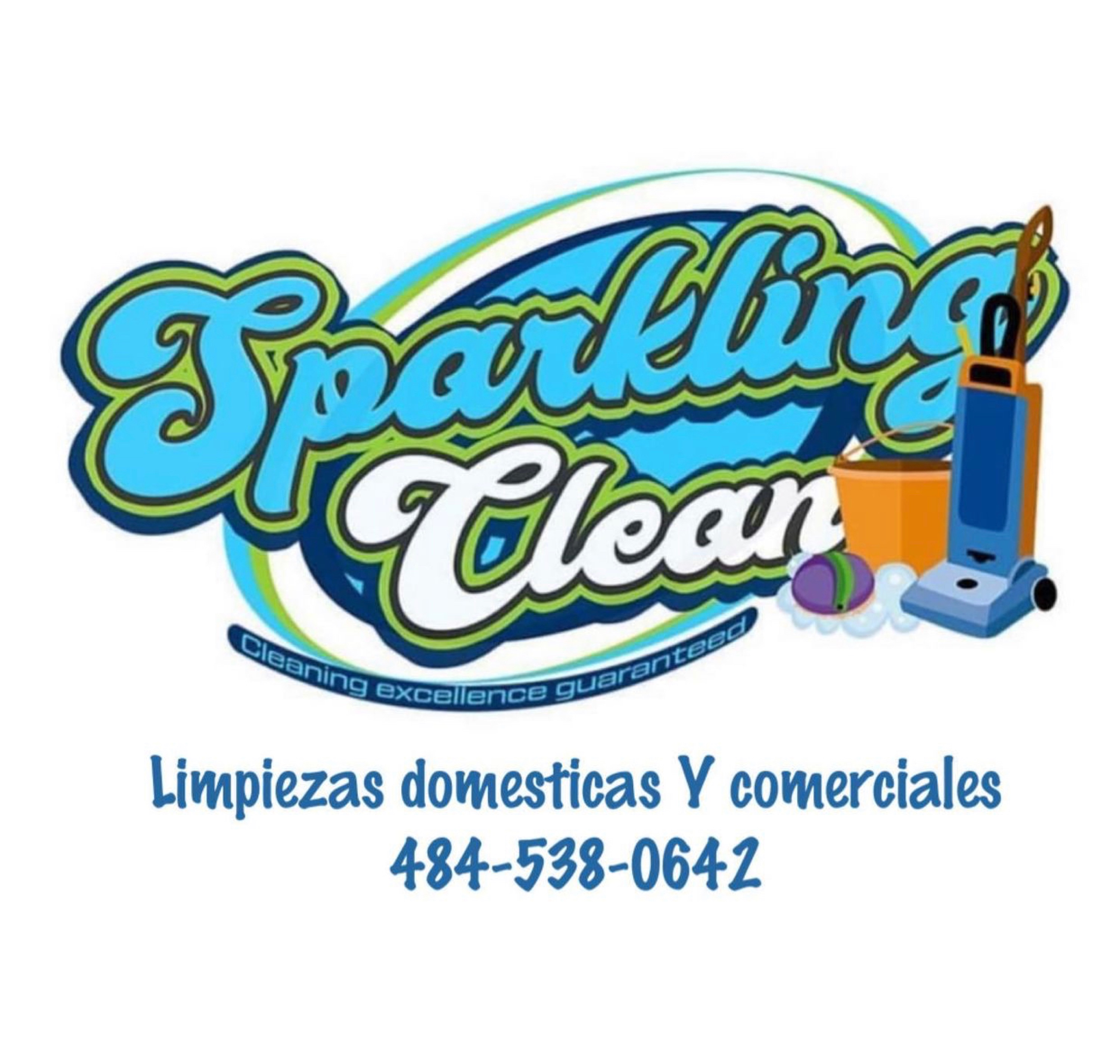 Sparkling Clean Logo