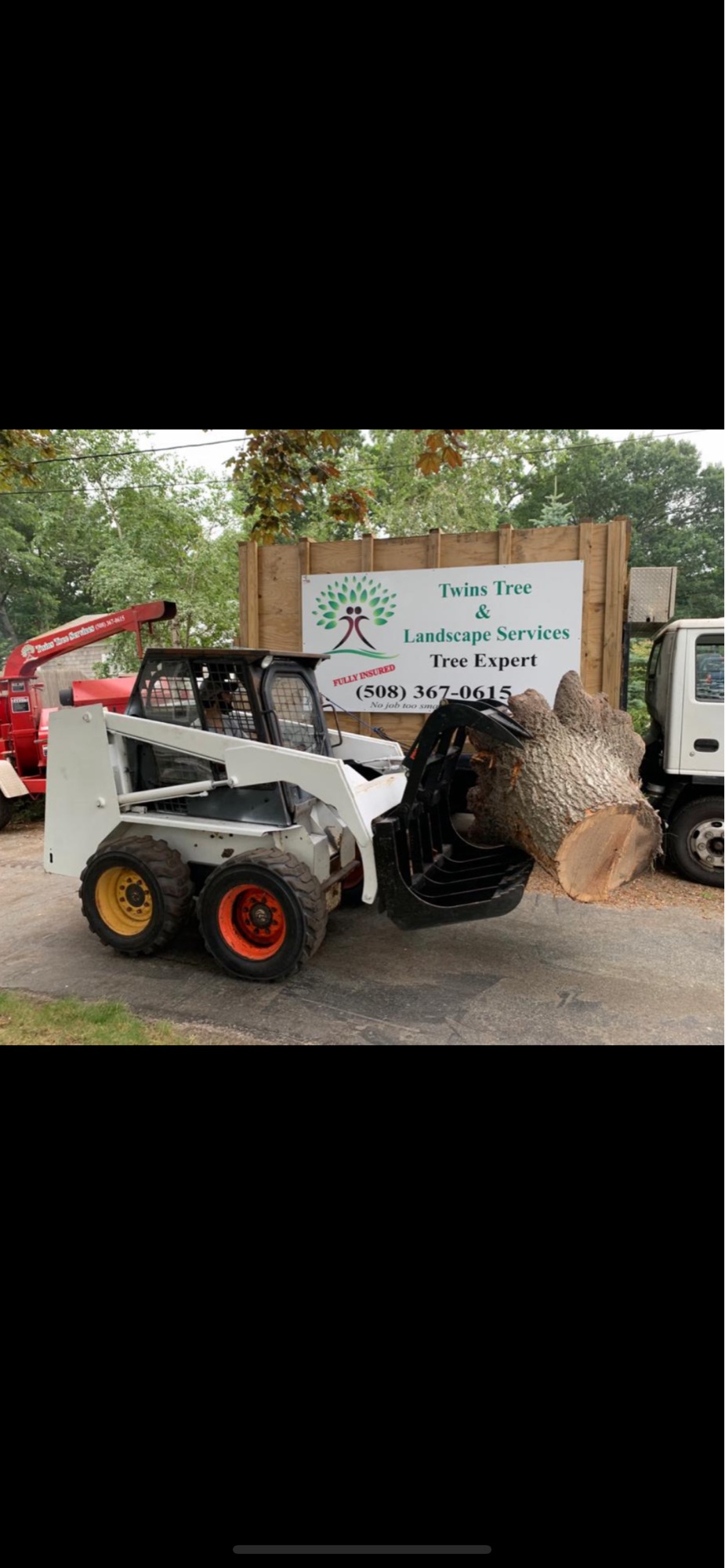 Twins Tree Service Logo