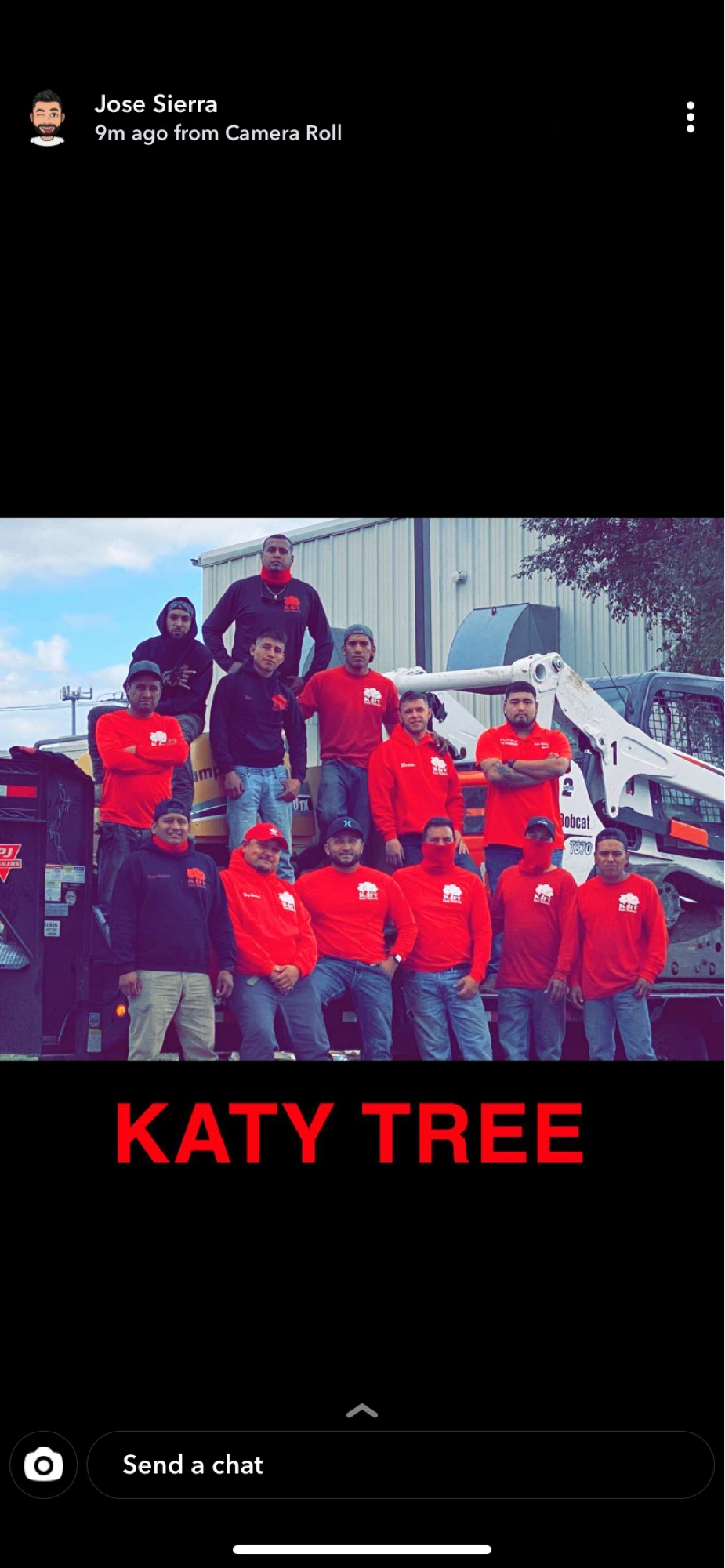 Katy Tree Service Logo