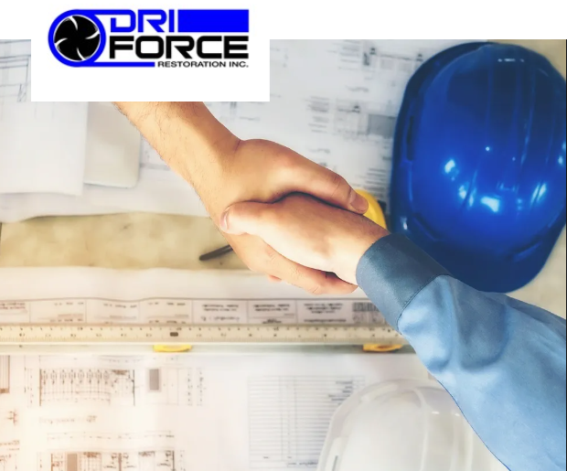 Dri-Force Restoration, Inc. Logo