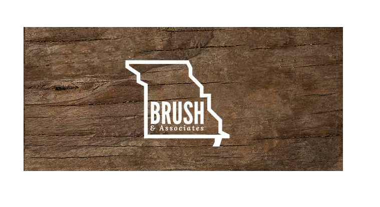 Brush & Associates, Inc. Logo