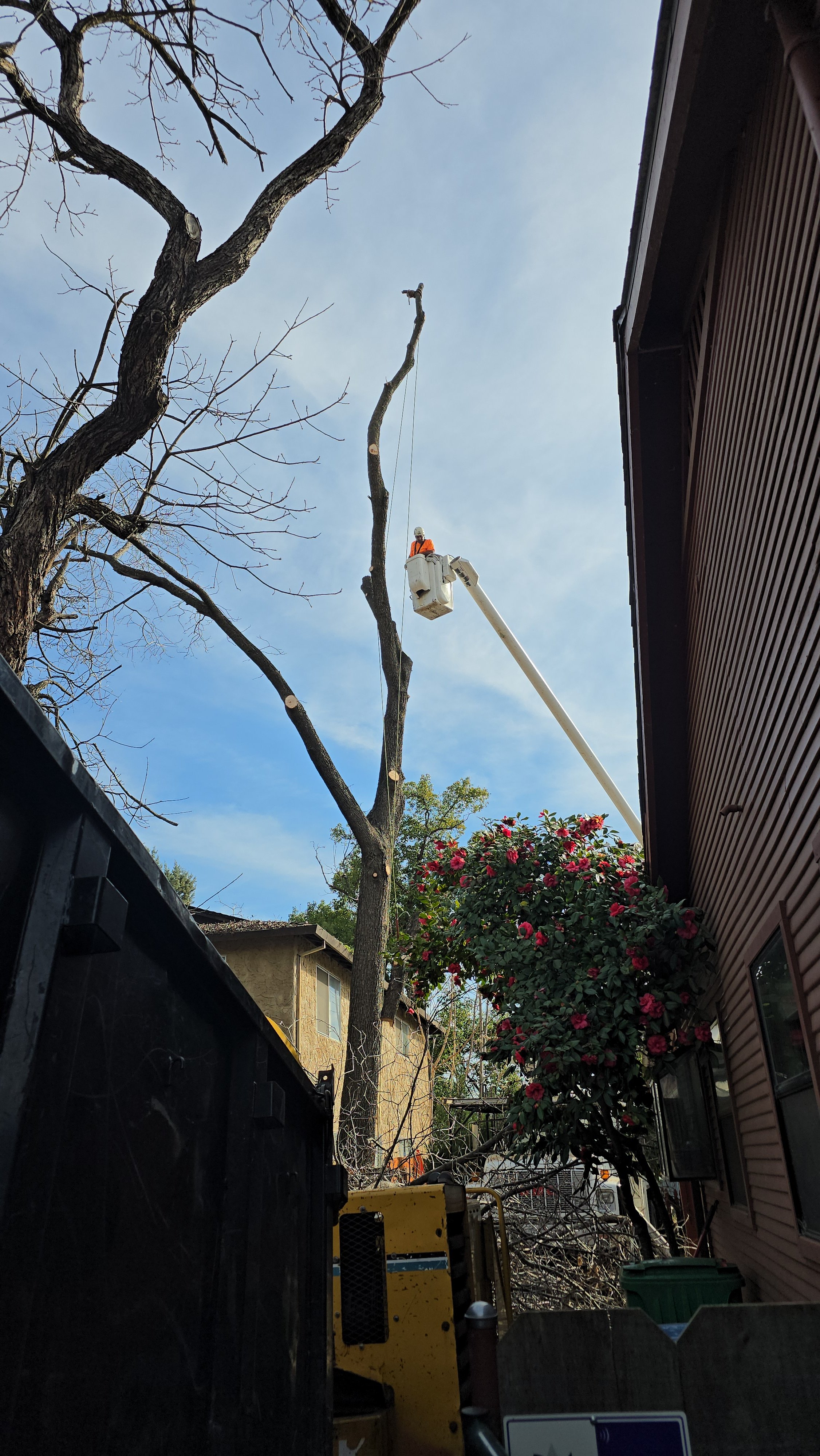 Crowder Tree Specialist Logo