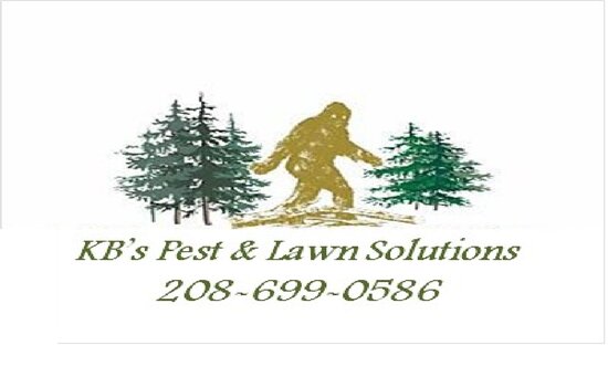 KB Pest and Lawn Solutions Logo