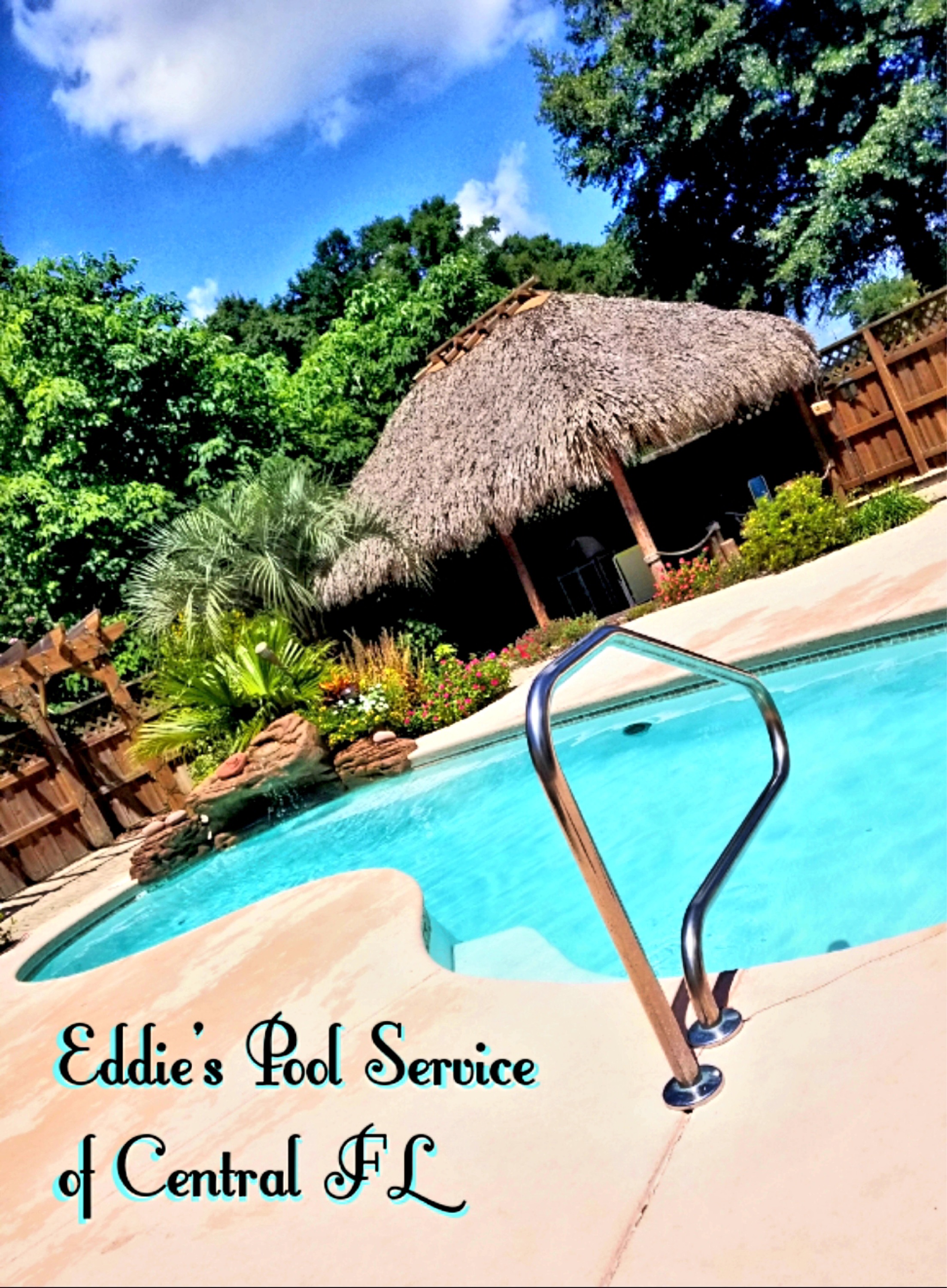 Eddie's Pool Service Logo