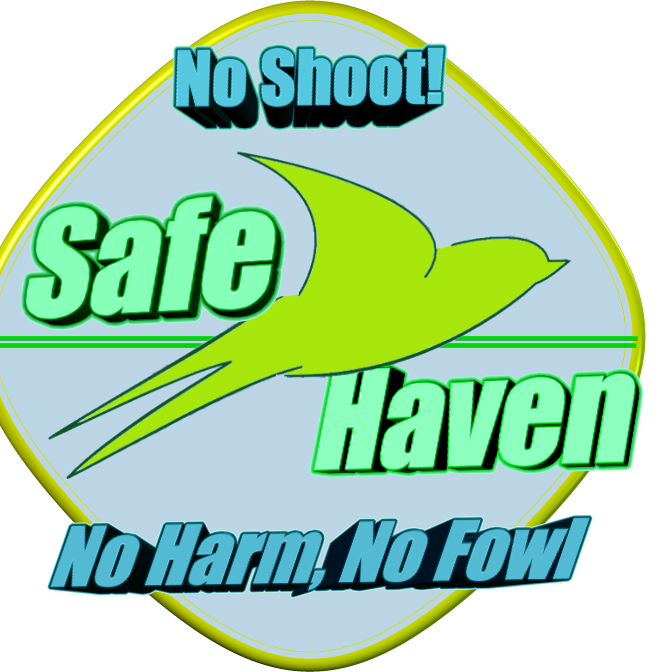 Safe Haven Wildlife Removal Logo