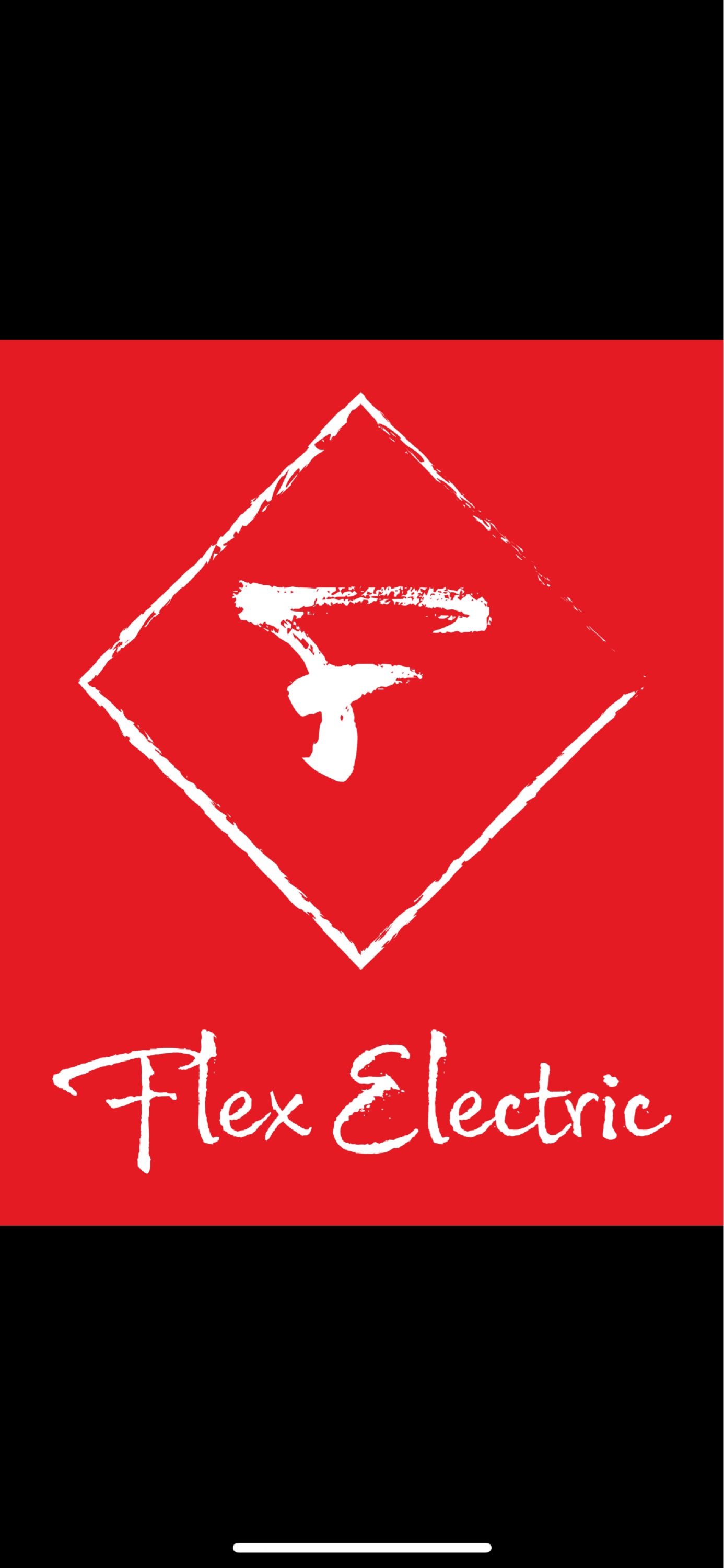 FlexElectric LLC Logo
