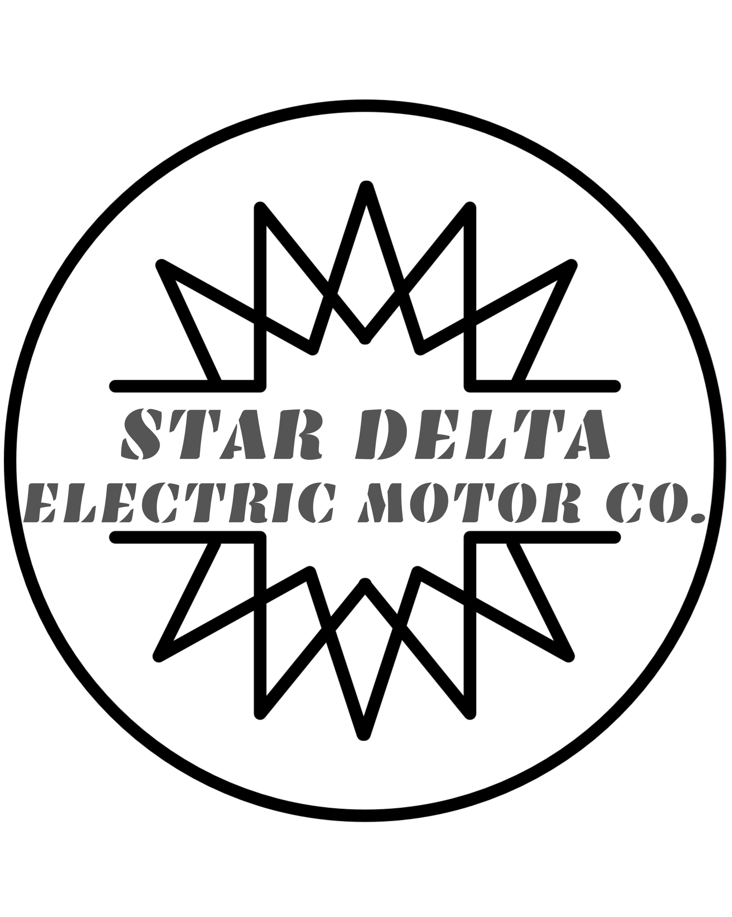 Star Delta Electric Motor Inc. Logo