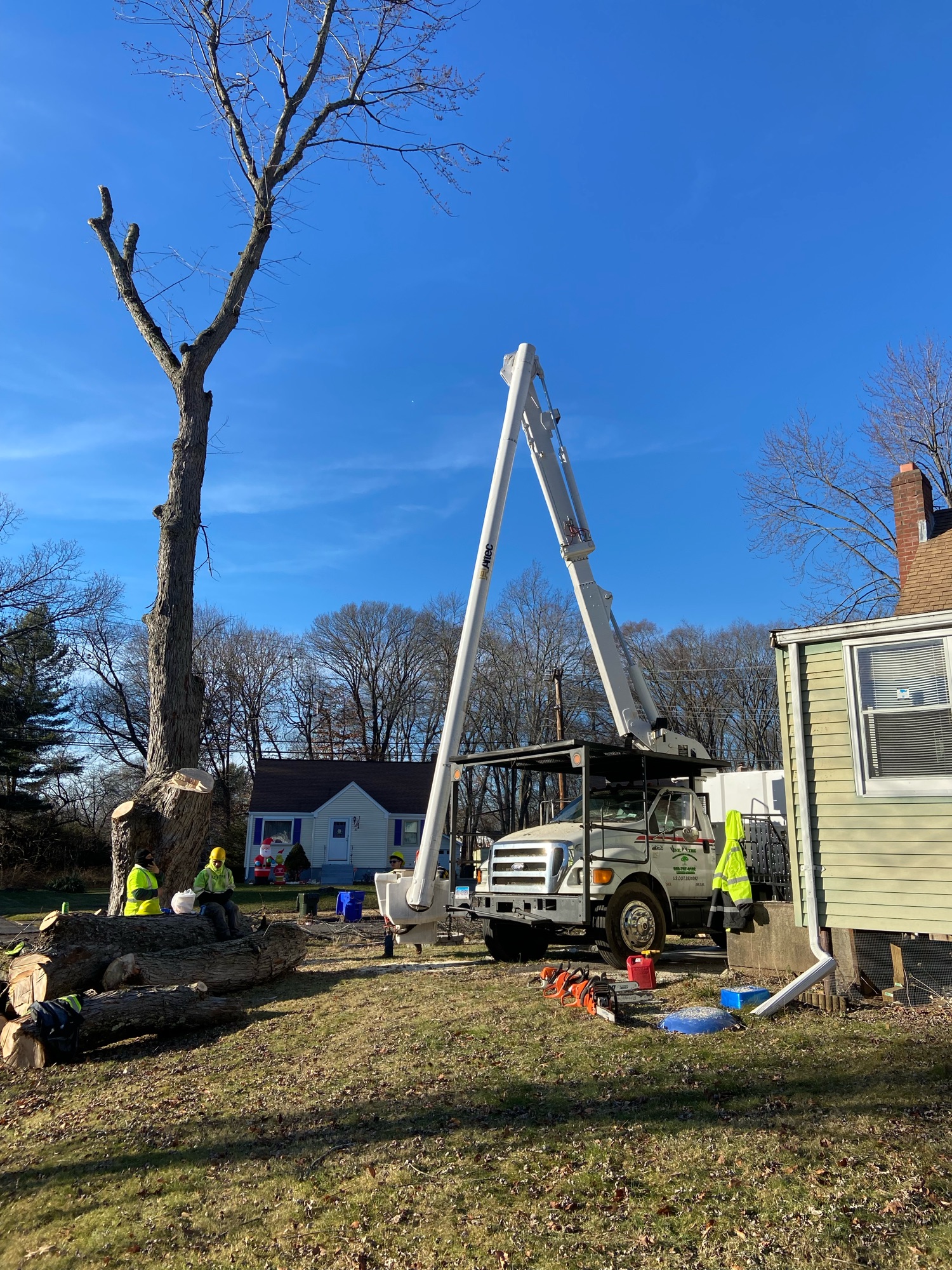 Dextre Tree Service Logo