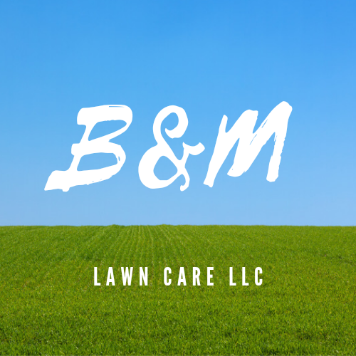 B&M Lawn Care LLC Logo