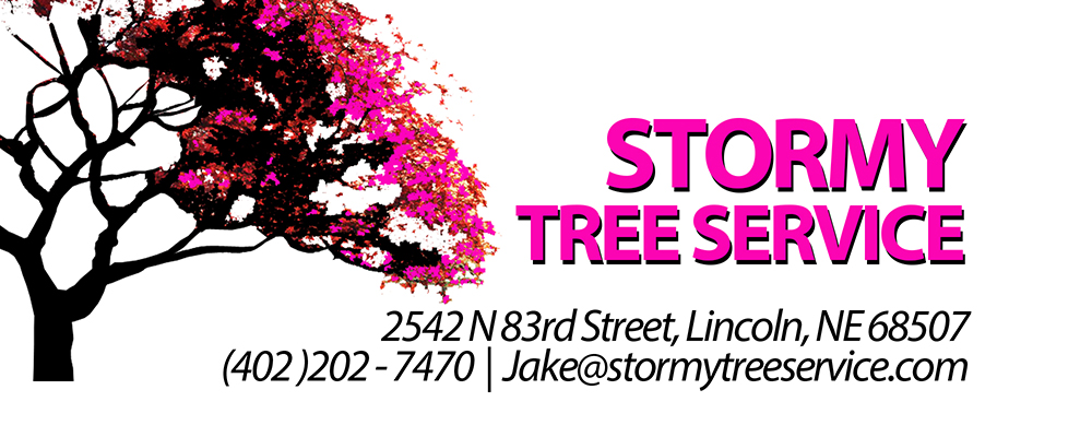 Stormy Tree Service Logo