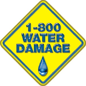 1-800 Water Damage of Seattle Logo