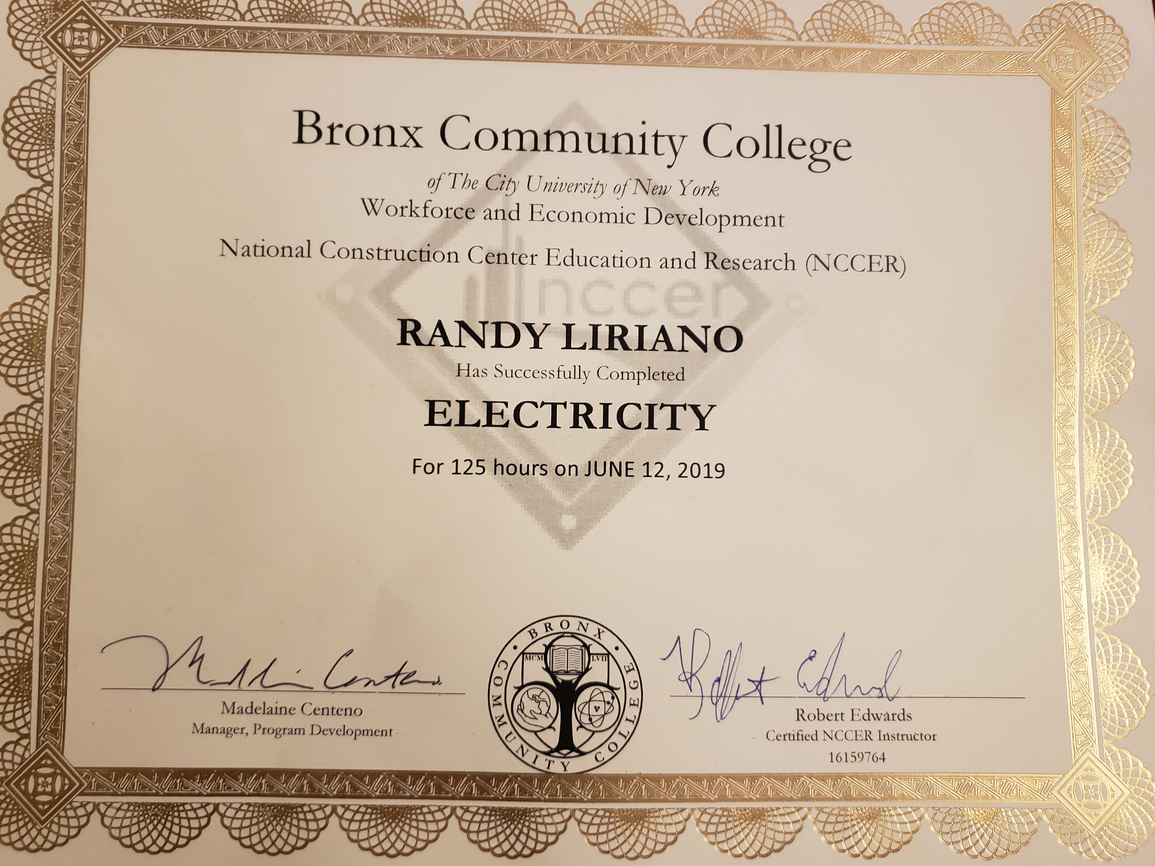Randy Electrician Logo