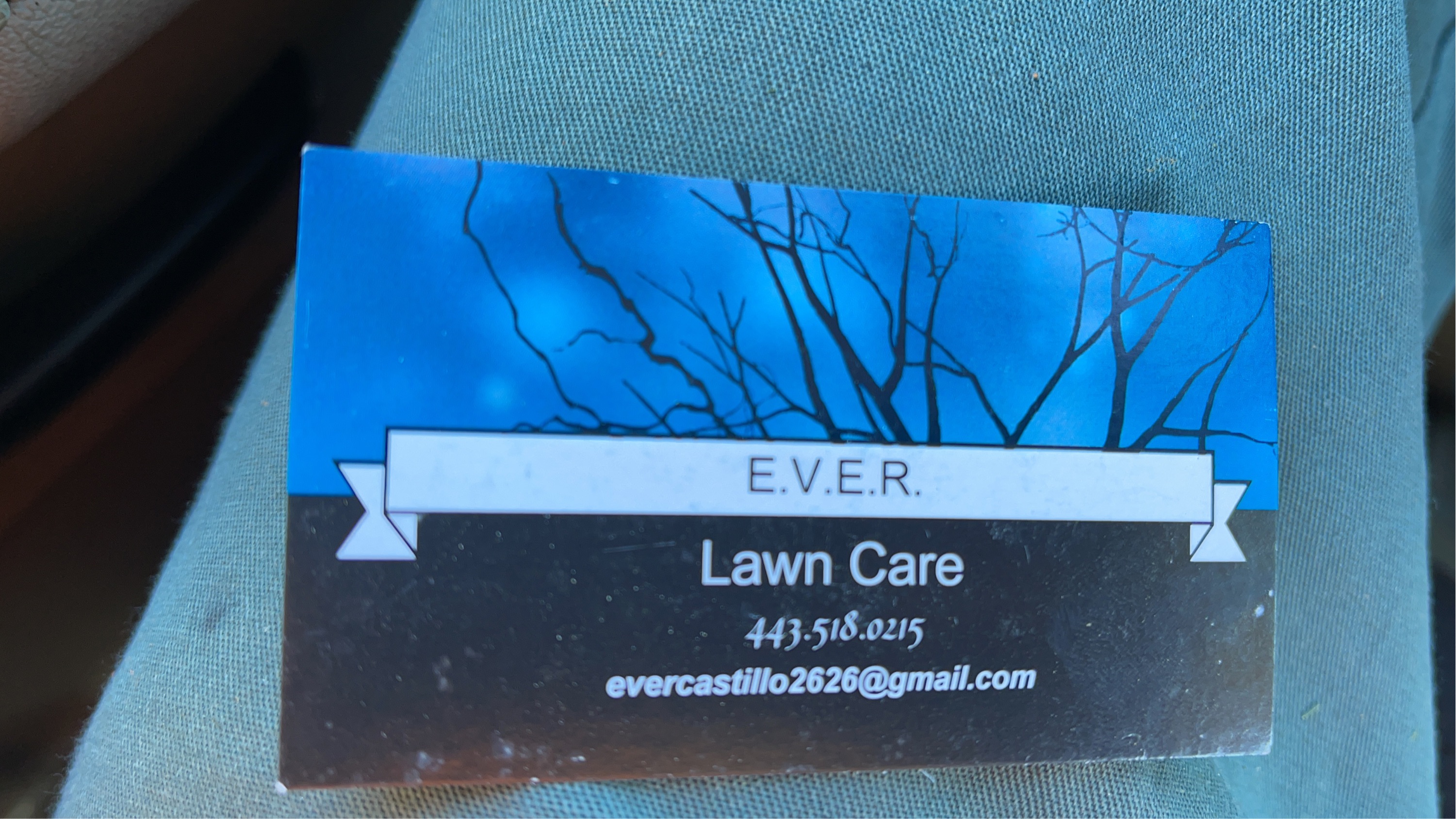 Ever Lawn Care Logo
