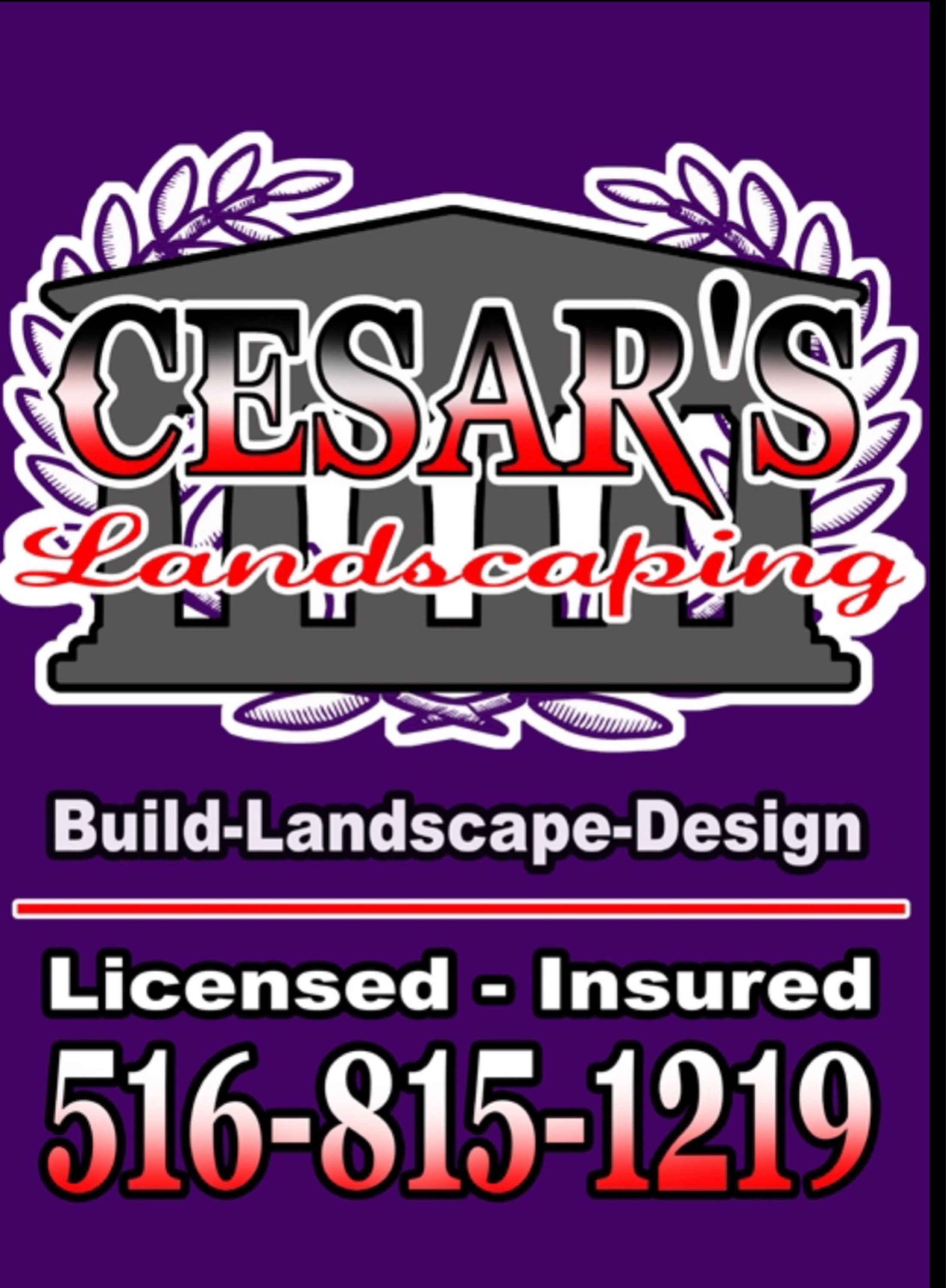 Cesars Landscaping Logo