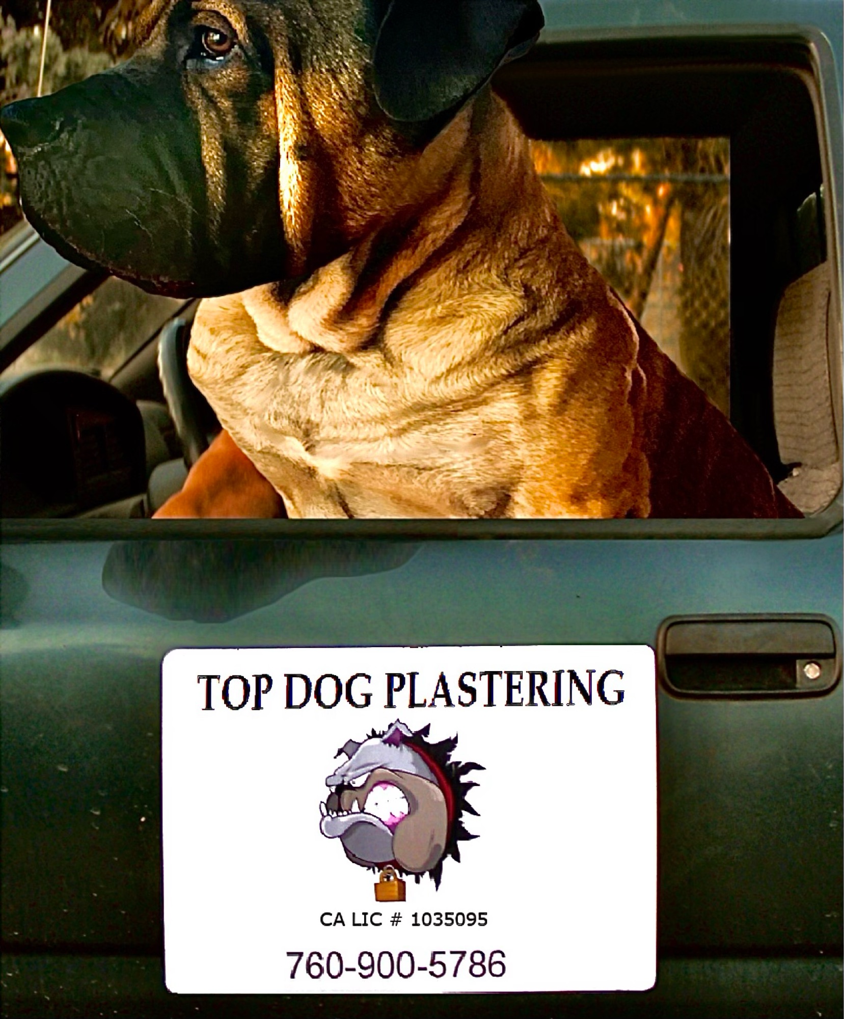 Top Dog Lath & Plaster Logo