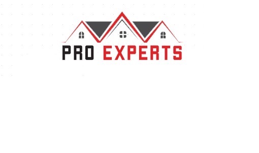 Pro Experts of LI, Inc. Logo