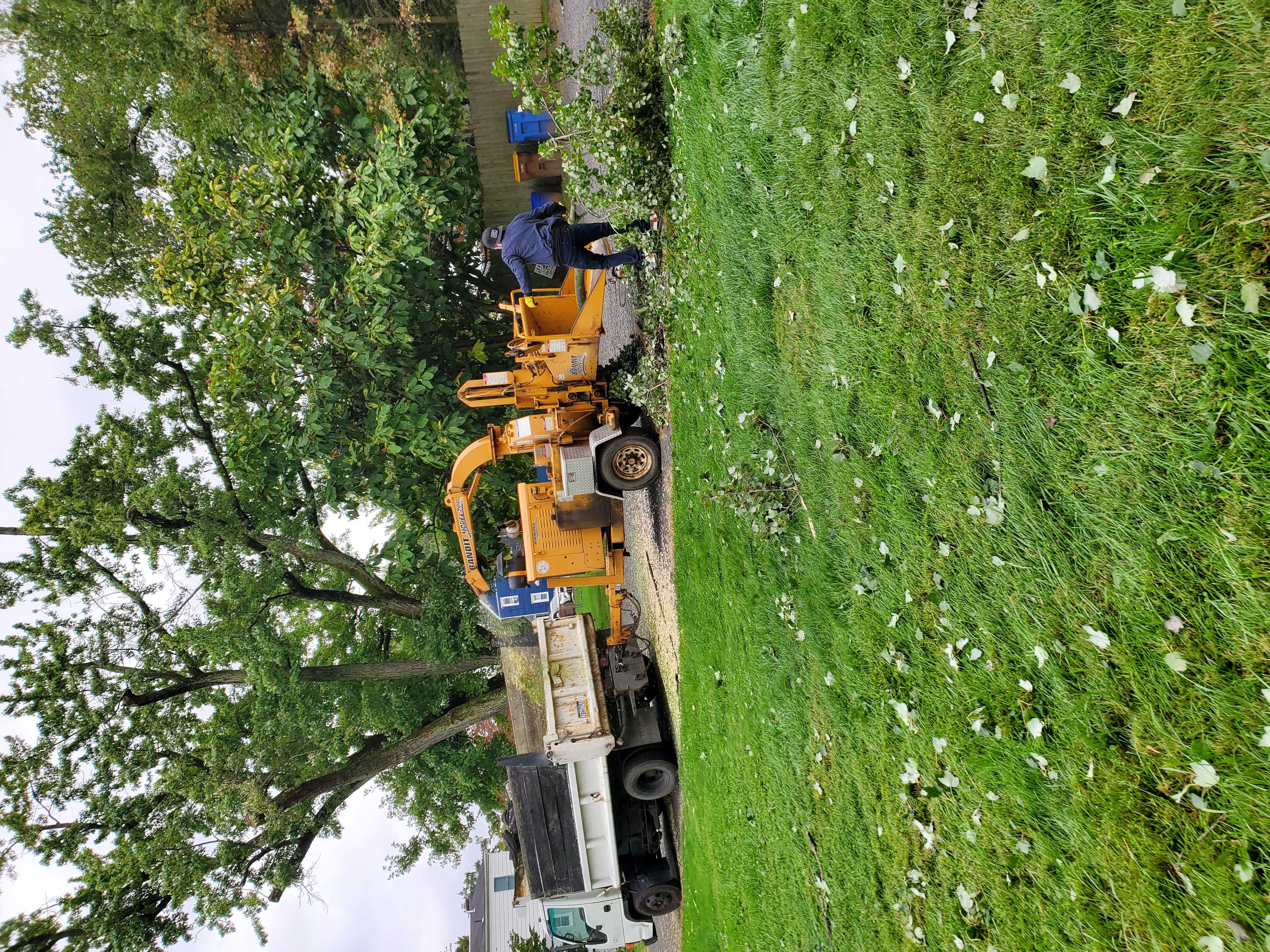 Guaman Landscaping Logo