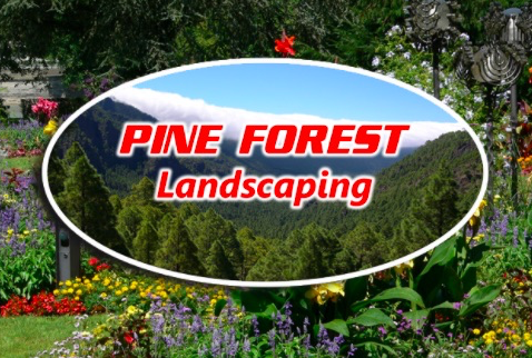 Pineforest Remodeling and Landscaping Logo