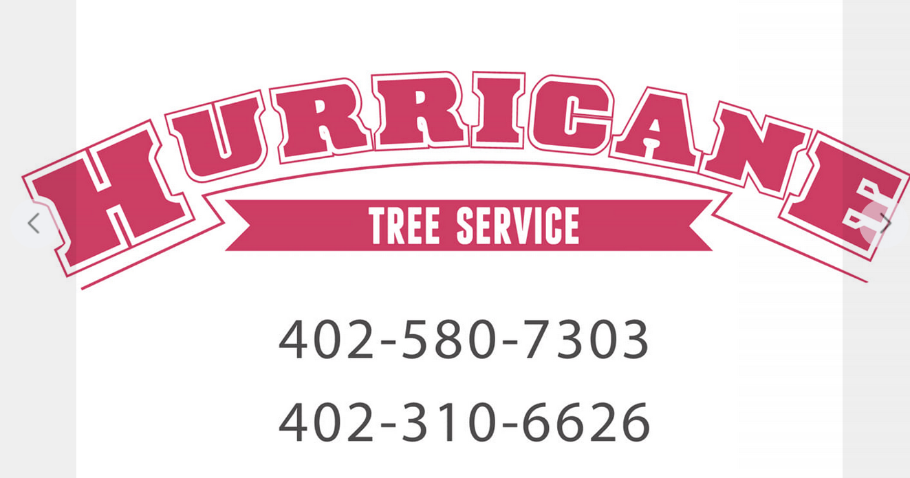 Hurricane Tree Service Logo