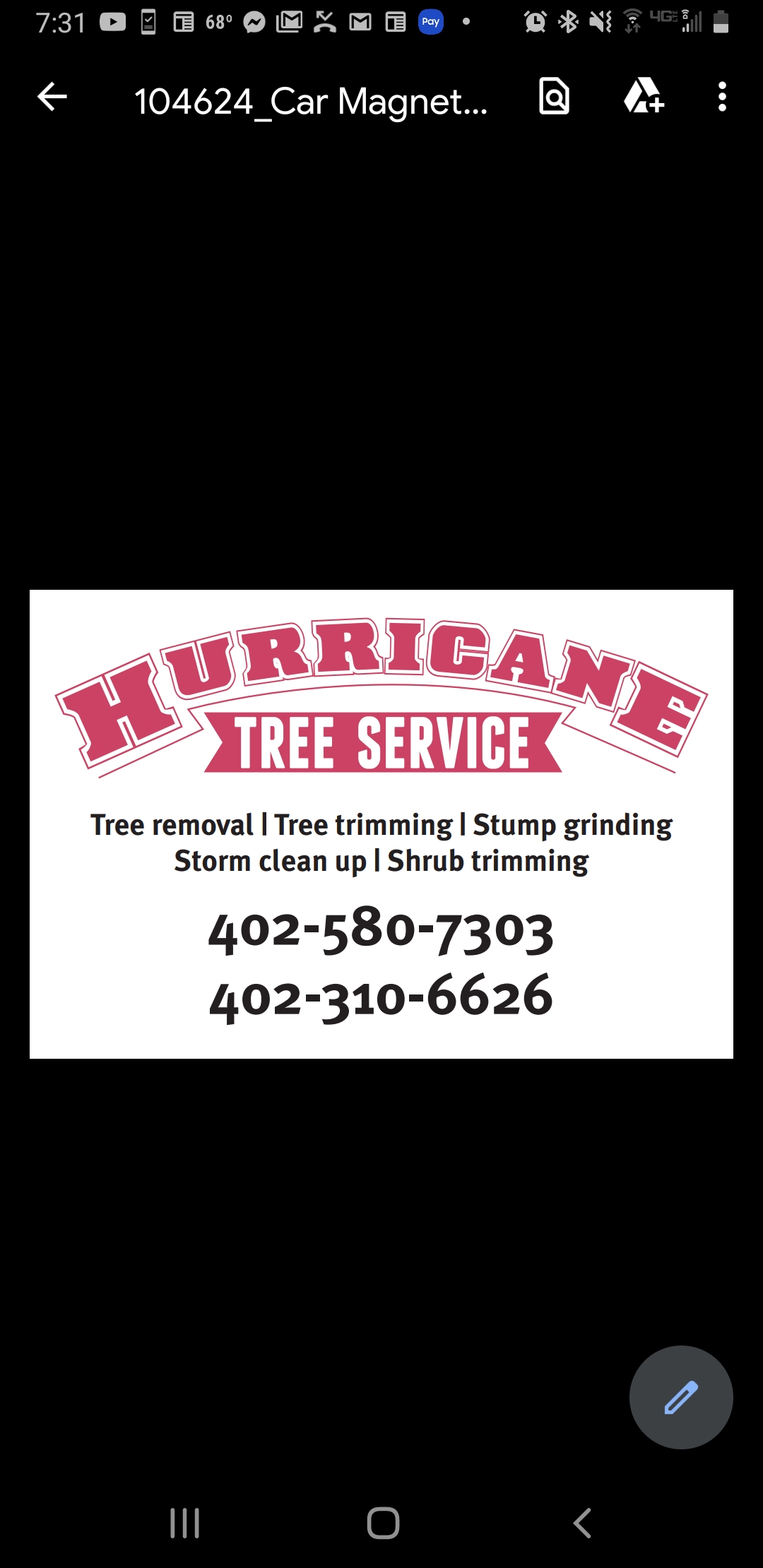 Hurricane Tree Service Logo