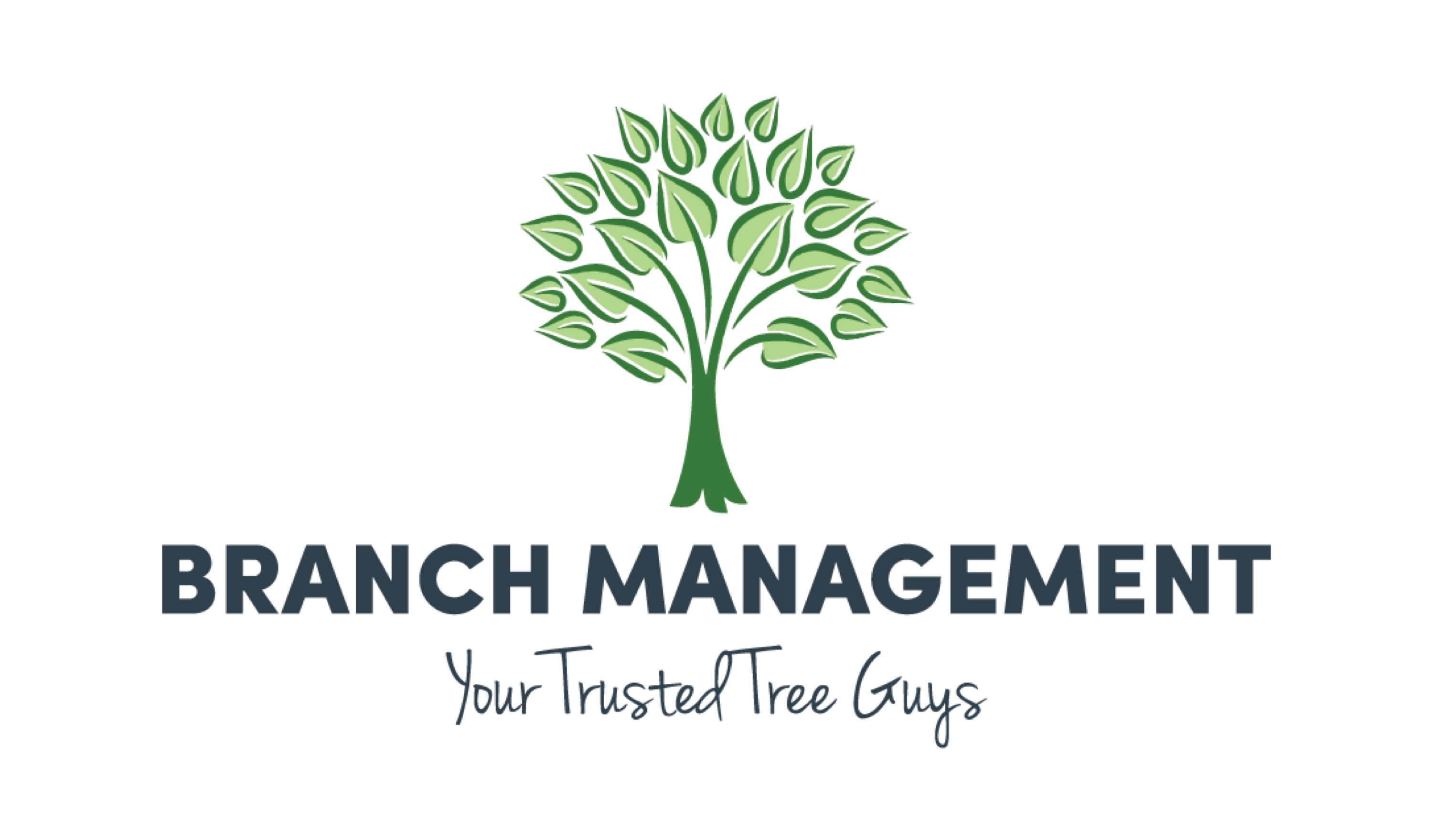 Branch Management, LLC Logo